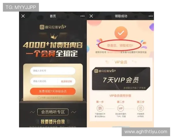 华体会电游官网：独家优惠礼包与会员专属福利不断提升用户体验与满意度